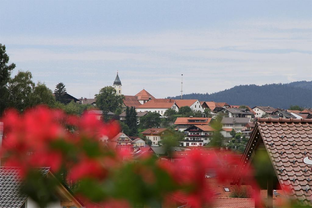 Pension Anderl Bodenmais Zewnętrze zdjęcie
